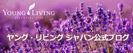 youngliving_lavender